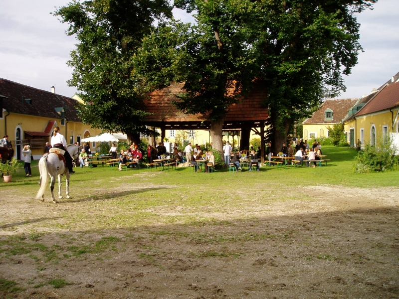 Lilienhof 270805 020